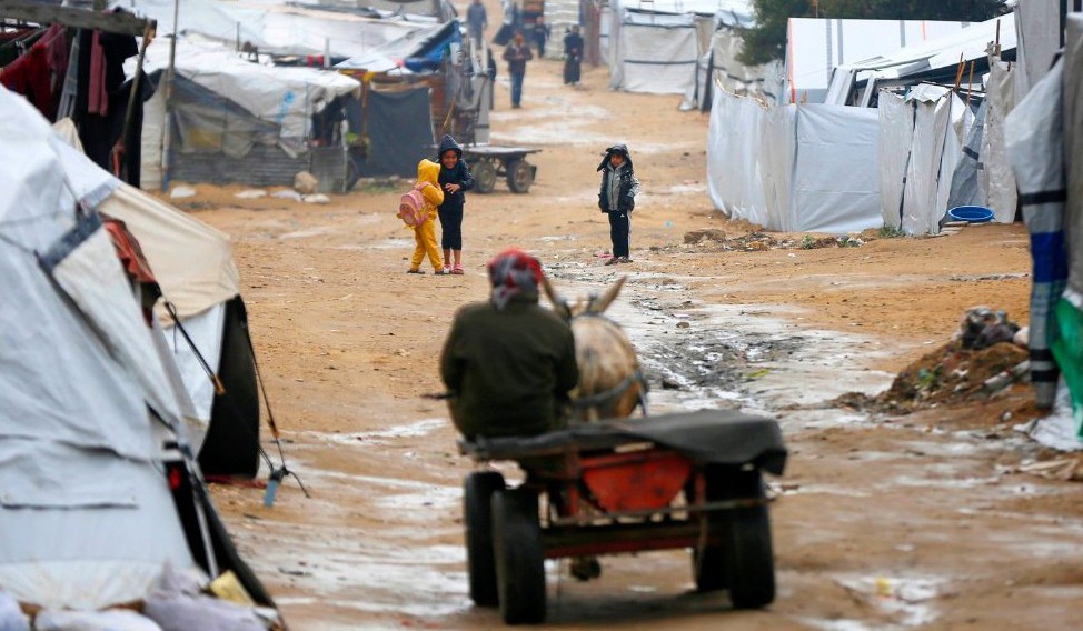 التقرير الشهري لرصد حالة النزوح الداخلي في قطاع غزة مارس _2026.