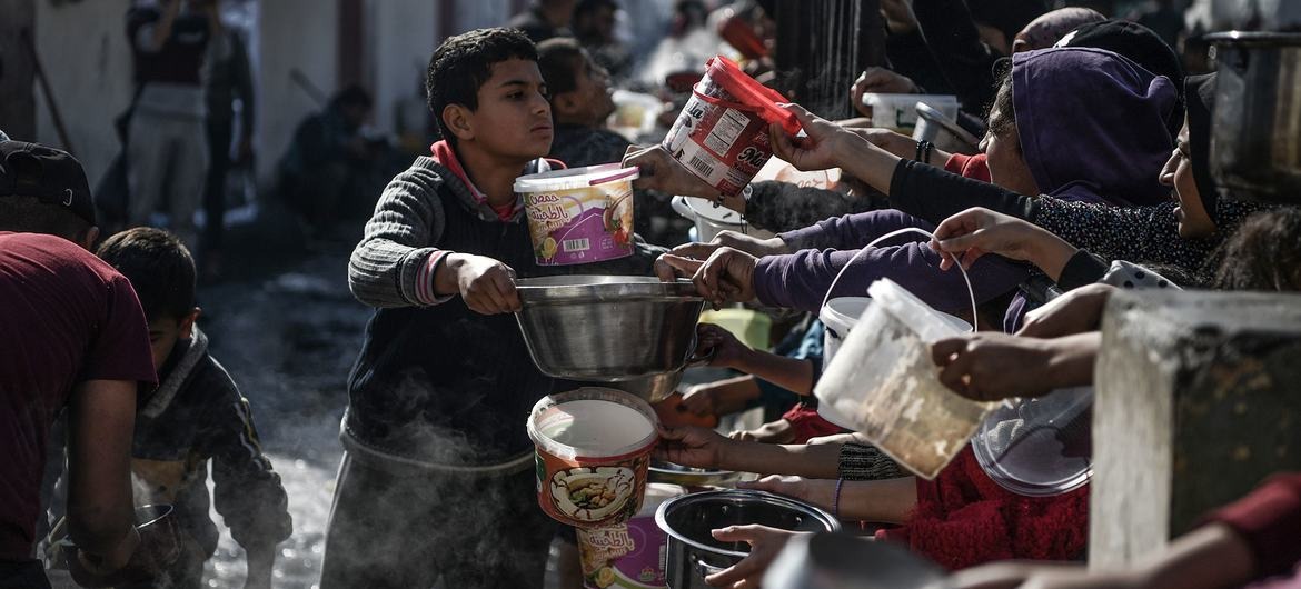 Toward a Policy to Address the Severe Lack of Food Security Amid the War on the Gaza Strip (2023–2024)